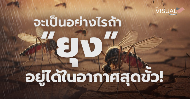 คุยกับนักกีฎวิทยา จะเป็นอย่างไรถ้า “ยุง” อยู่ได้ในอากาศสุดขั้ว!
